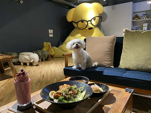 台北信義寵物友善餐廳-Out of office 不在辦公室