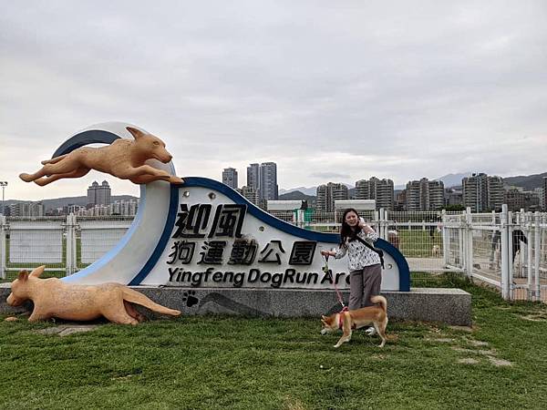 【台北】迎風狗運動公園面積超大且有圍籬的台北狗狗運動公園